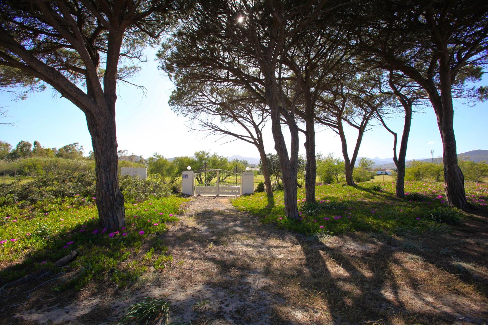 Resort Abbaia Ba Budoni Kültér fotó