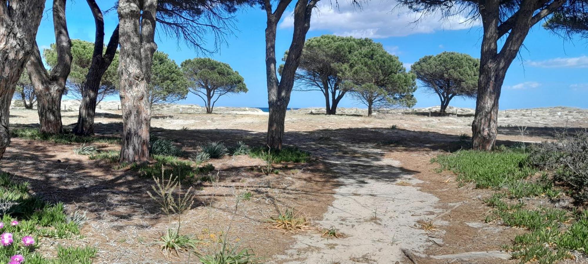 Resort Abbaia Ba Budoni Kültér fotó
