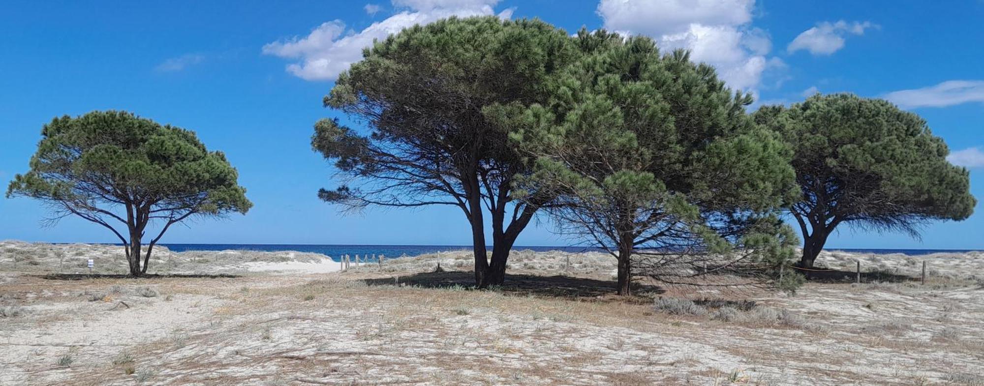 Resort Abbaia Ba Budoni Kültér fotó