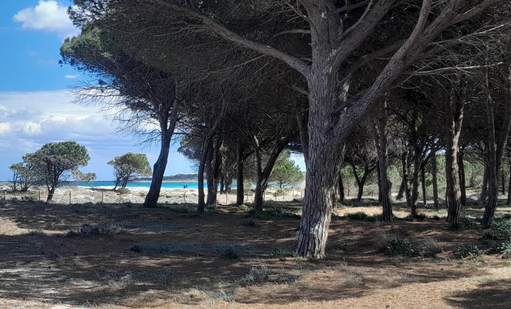 Resort Abbaia Ba Budoni Kültér fotó